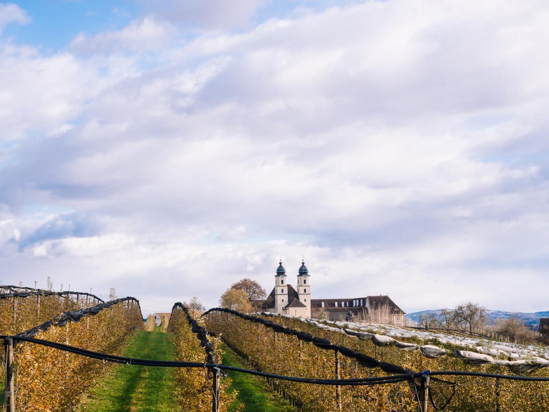 Schilcherlandleben - Langegg Greisdorf Exterior foto