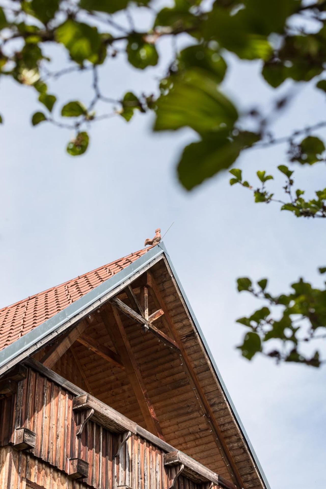 Schilcherlandleben - Langegg Greisdorf Exterior foto